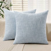 accent cushion