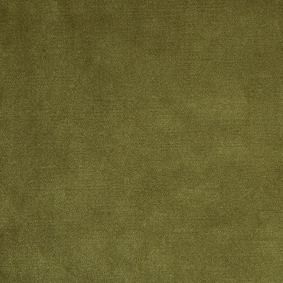 DF-Luxurious Velvet-SN 15