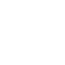 Fabric Icon