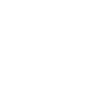 express-delivery icon