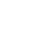 medal icon